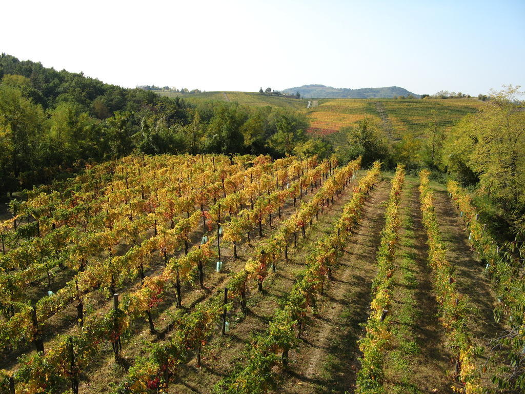 Bosco Romagno Villa Cividale Del Friuli Exterior photo